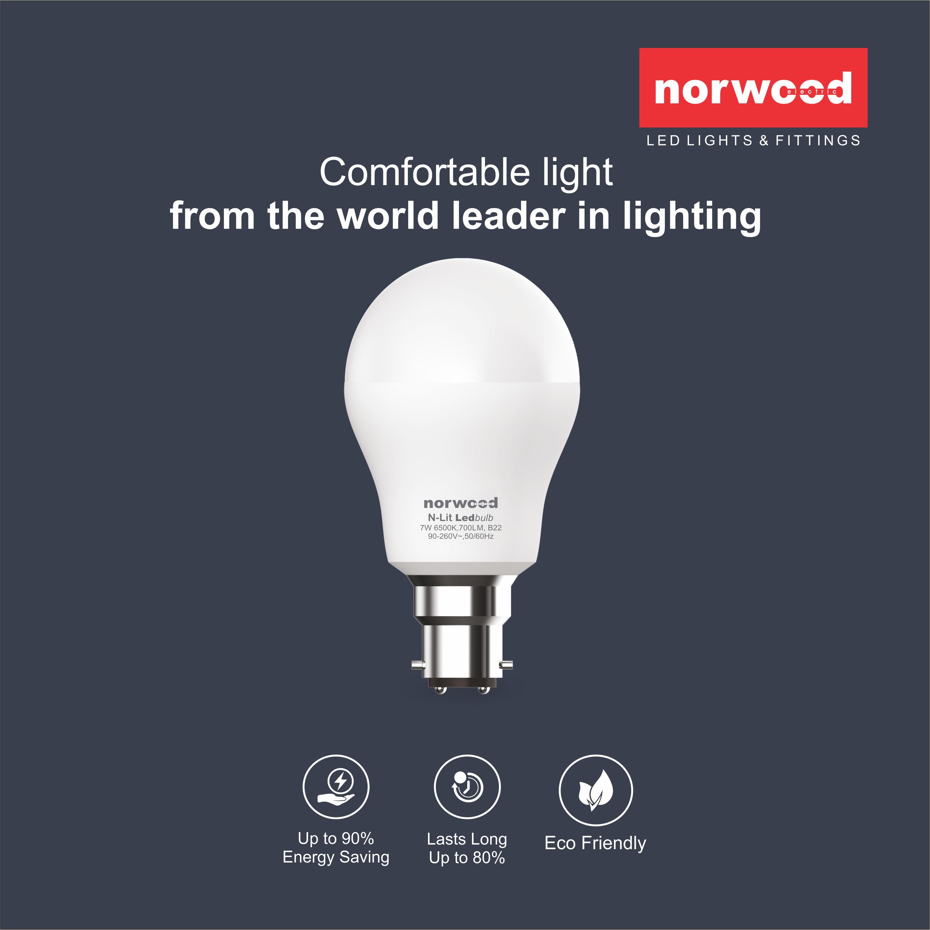 N-Lit LED Bulb